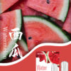 西瓜Watermelon.jpg SP2S煙彈一代通用 / 3顆入 / 不用我說的銷冠【滿十送SP主機】